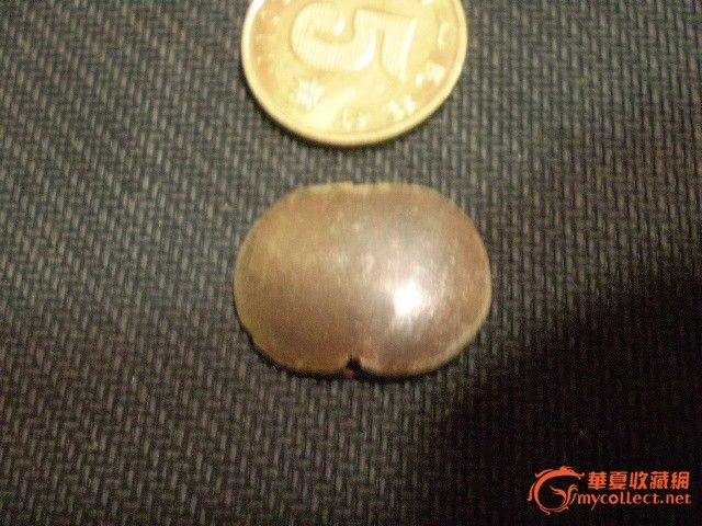 中号银背云-中号银背云价格-中号银背云图片,来