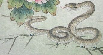 【送礼佳品】画家张永权 十二生肖工笔画之蛇