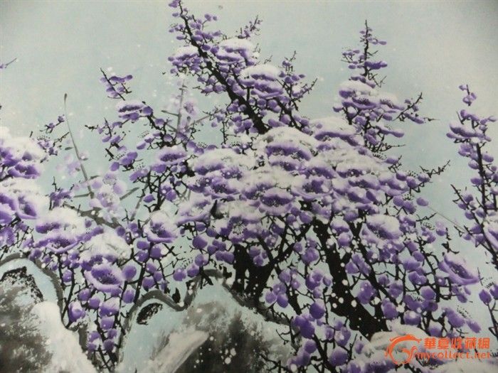 包邮三米半的雪梅花-包邮三米半的雪梅花价格