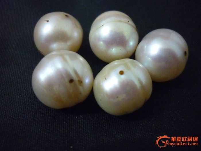 出土大珍珠_出土大珍珠价格_出土大珍珠图片