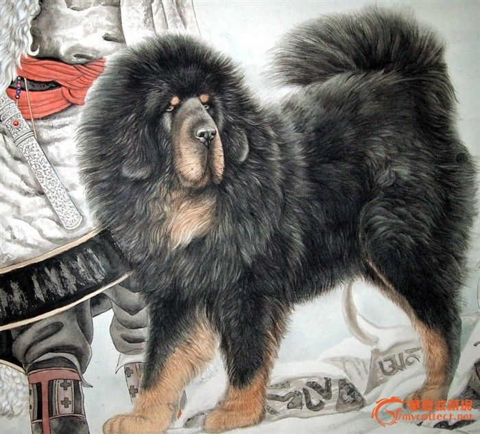 当代·唐坚 ·《 老头与藏獒 》-当代·唐坚 ·《