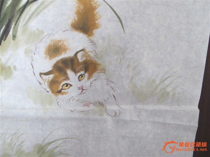 猫种子粘贴画