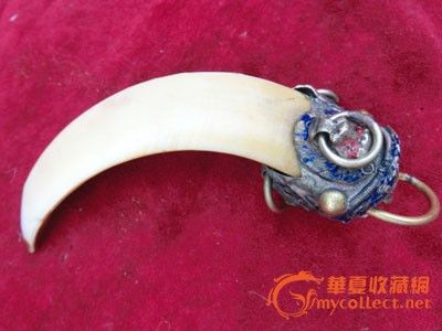 特大野猪牙 挂件 一颗 镶珐琅彩_特大野猪牙 挂