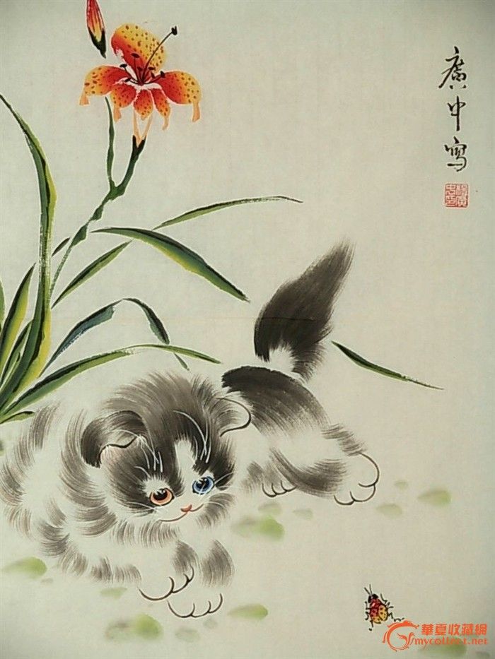 广中-----可爱小猫,新年特惠!