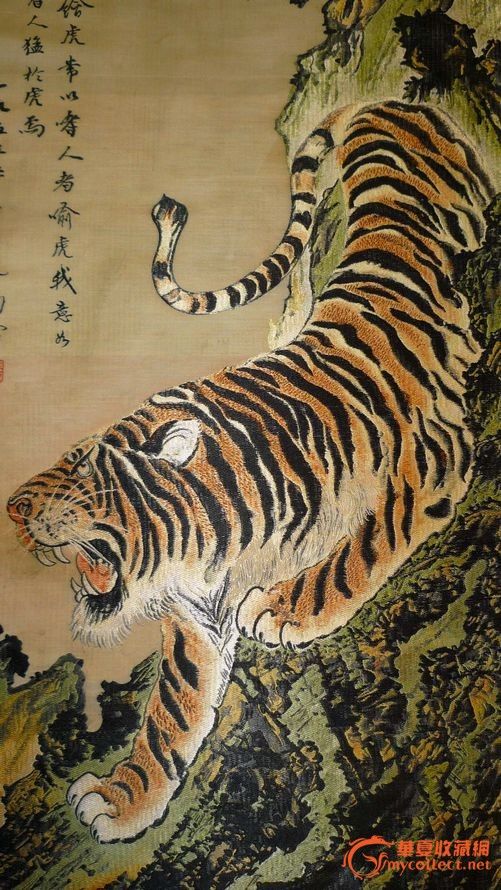 下山虎 何香凝